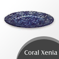 Coral-Xenia