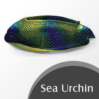 Sea-Urchin